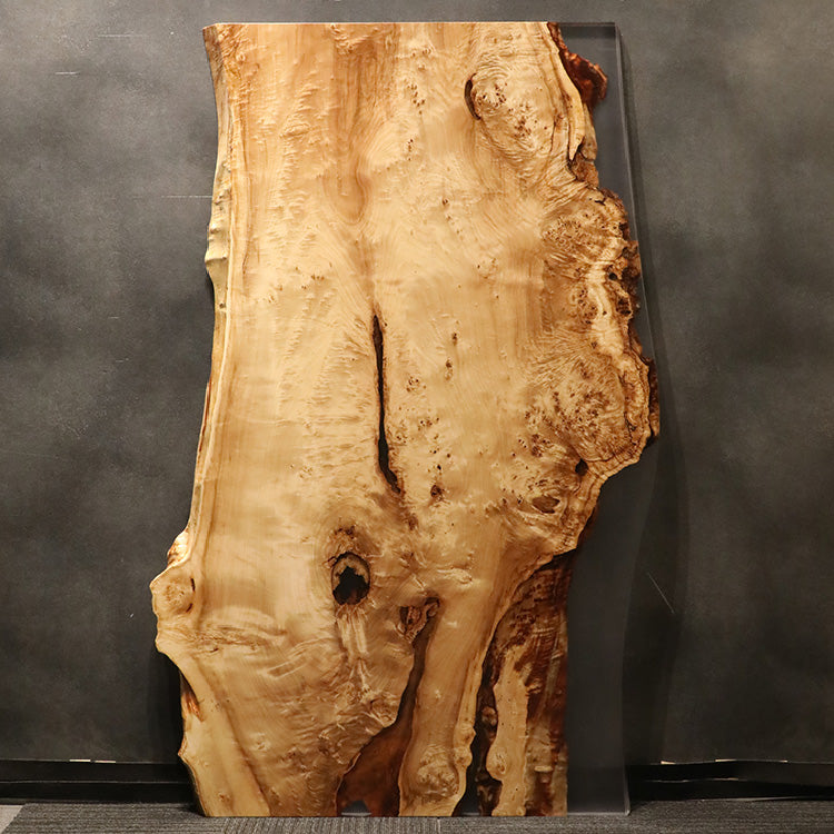 【SOLD OUT】RESIN　ポプラ　431-10　(W190cm)