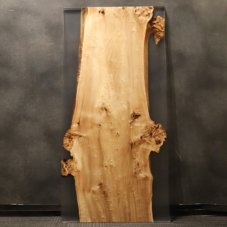 【SOLD OUT】RESIN　ポプラ　596-4　(W180cm)