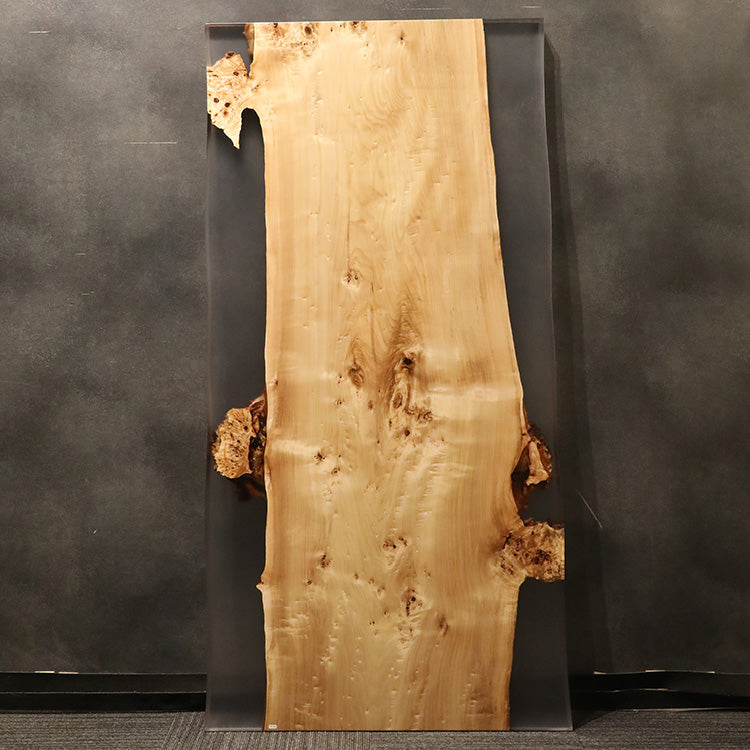 【SOLD OUT】RESIN　ポプラ　596-4　(W180cm)