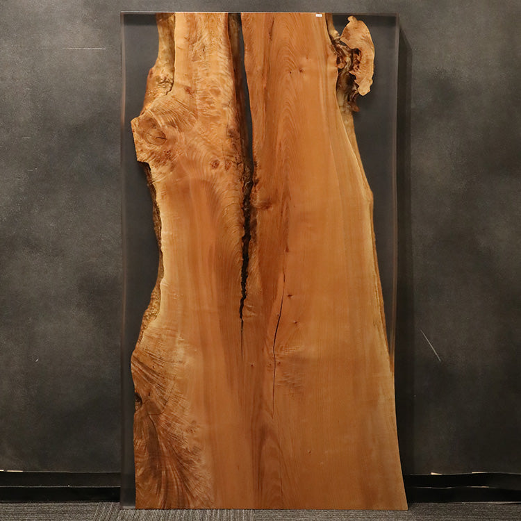 【SOLD OUT】RESIN　ビッグリーフメープル　337-6-2　(W160cm)