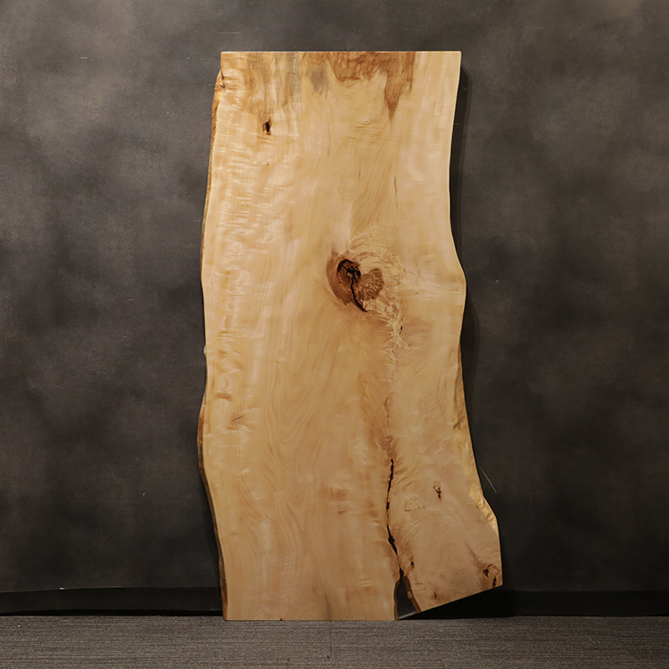 一枚板　トチ / 栃(杢)　501-4　(W210cm)
