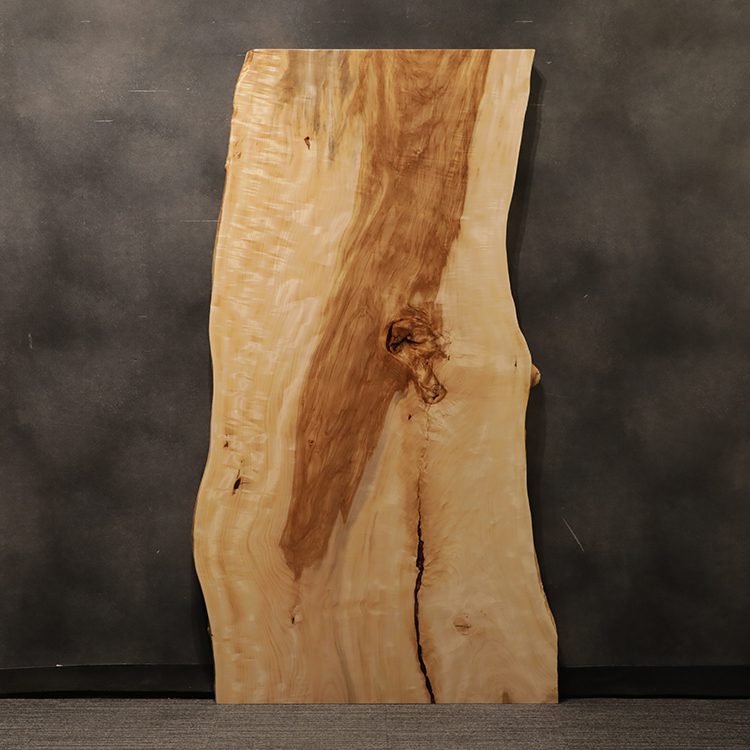 一枚板　トチ / 栃　501-5　(W200cm)