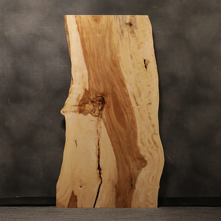 一枚板　トチ / 栃　501-5　(W200cm)