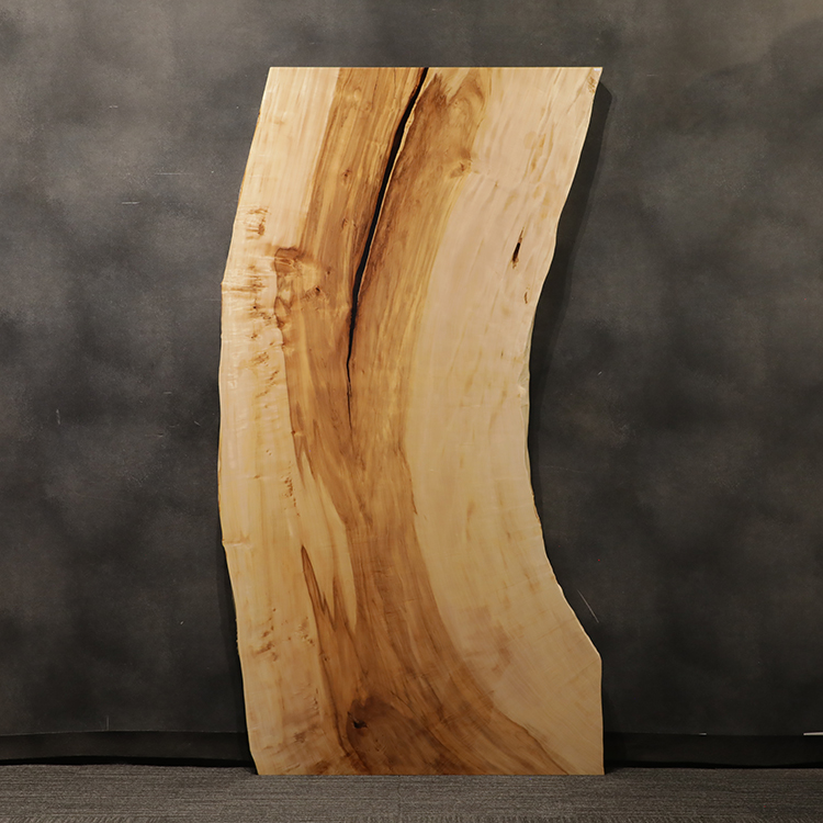 一枚板　トチ / 栃　560-6　(W220cm)