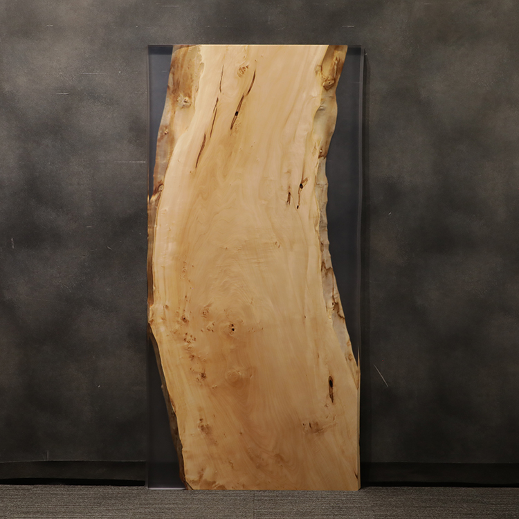 RESIN　トチ / 栃　560-9　(W200cm)