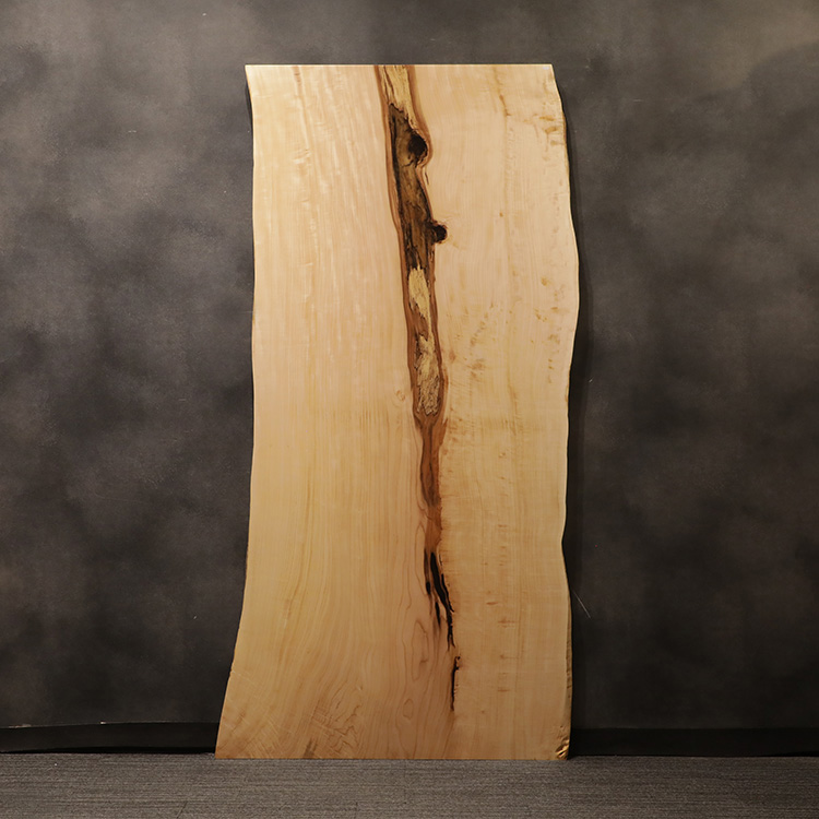 一枚板　トチ / 栃　587-1/2-5　(W230cm)