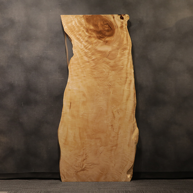 一枚板　トチ / 栃(杢)　1025-13　(W240cm)