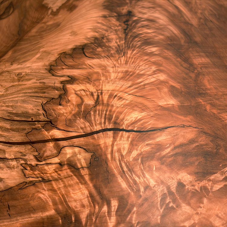 一枚板　トチ / 栃　838-8　(W210cm)