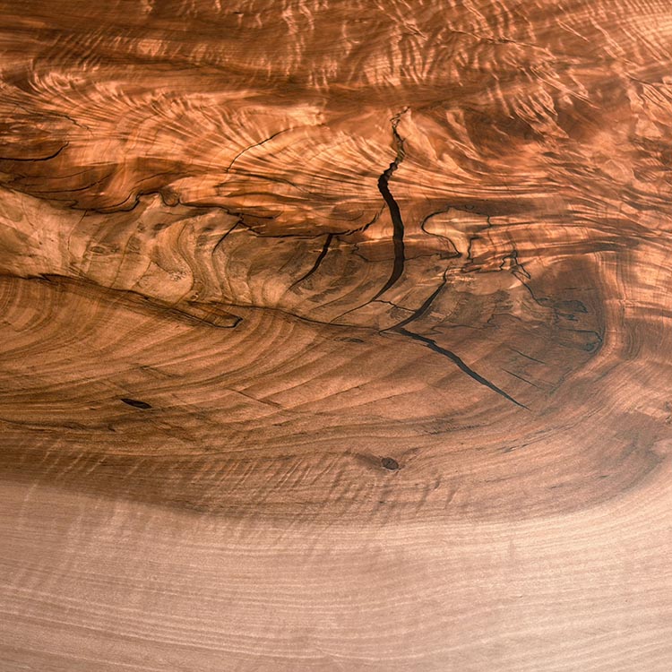 一枚板　トチ / 栃　838-8　(W210cm)