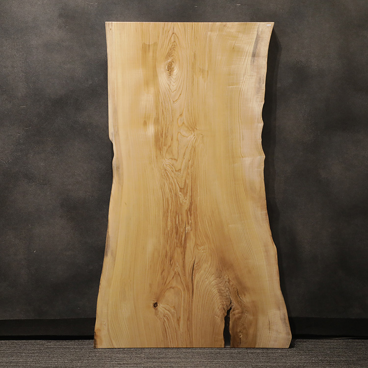 一枚板　セン / 栓(杢)　171-8　(W160cm)