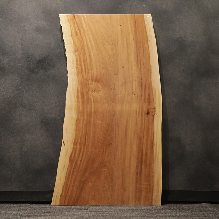 一枚板　トチ / 栃　523-8　(W160cm)