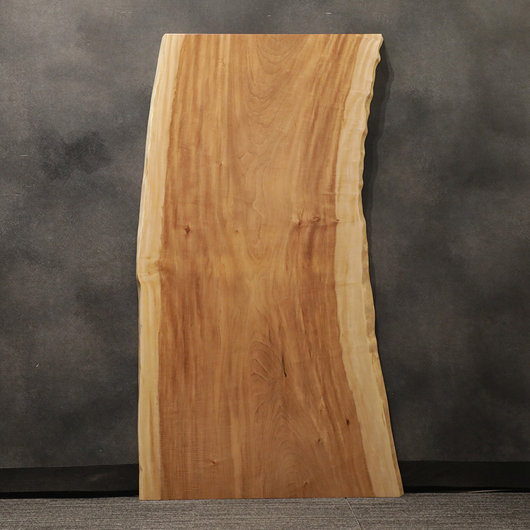 一枚板　トチ / 栃　523-8　(W160cm)