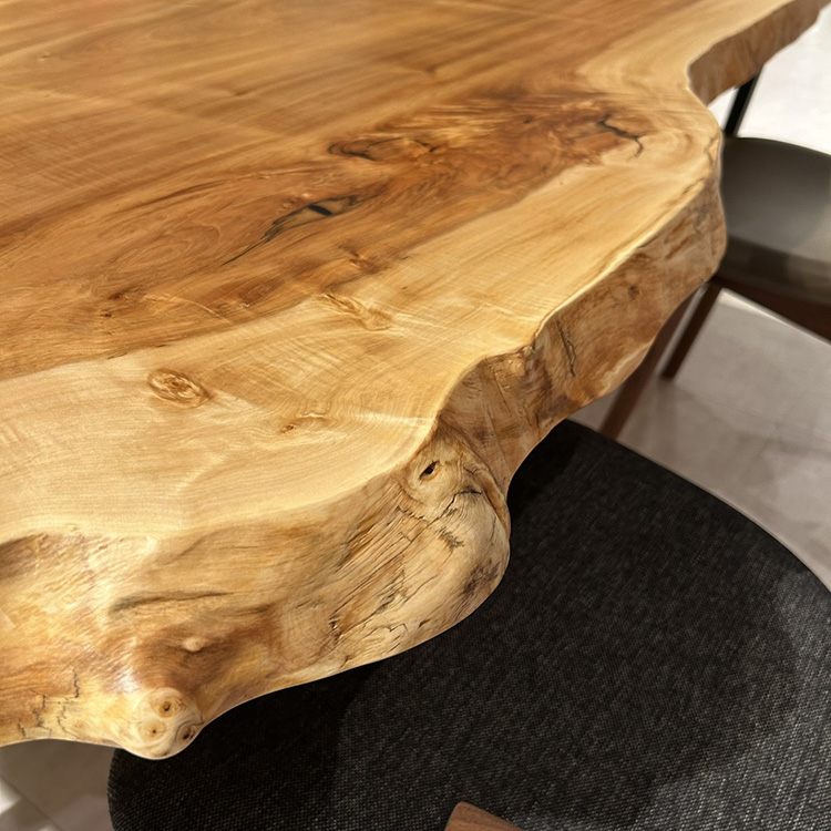 一枚板　トチ / 栃　523-26　(W200cm)