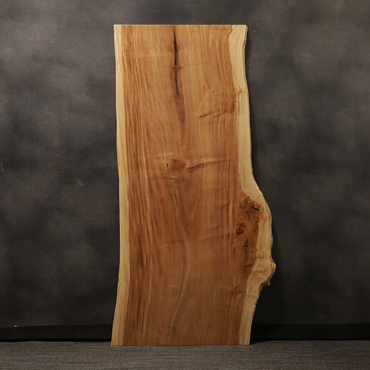 一枚板　トチ / 栃　523-26　(W200cm)