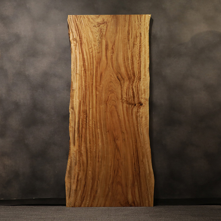 一枚板　クス / 楠　2162-7　(W260cm)