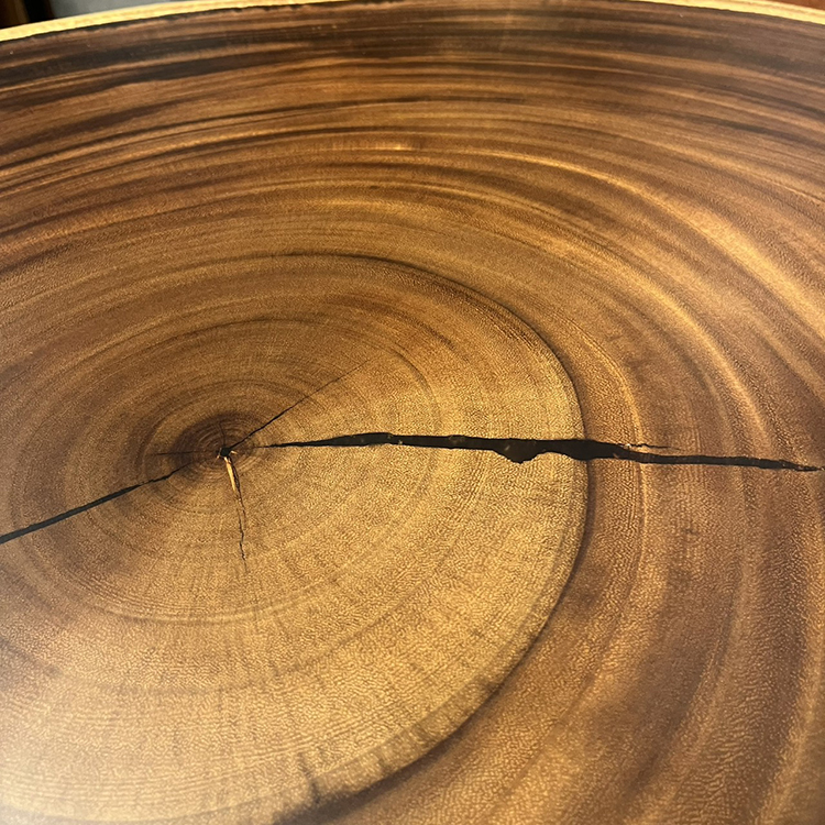 一枚板　モンキーポッド　輪切り PRY-156-RT-27-113　(W115cm)