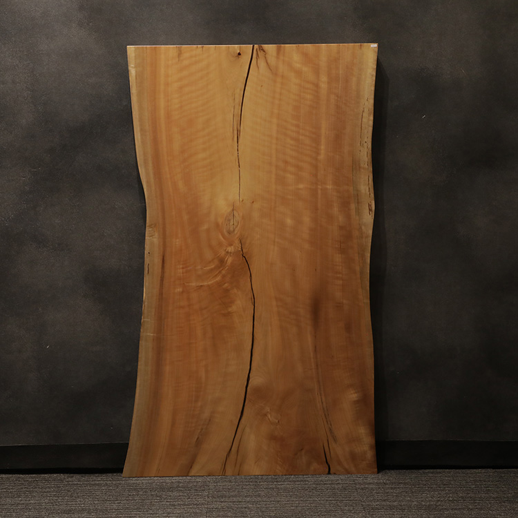 一枚板　タブ / 椨　5355-8　(W150cm)