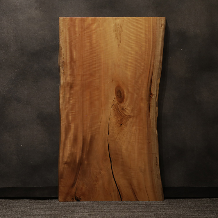 一枚板　タブ / 椨　5355-9　(W150cm)