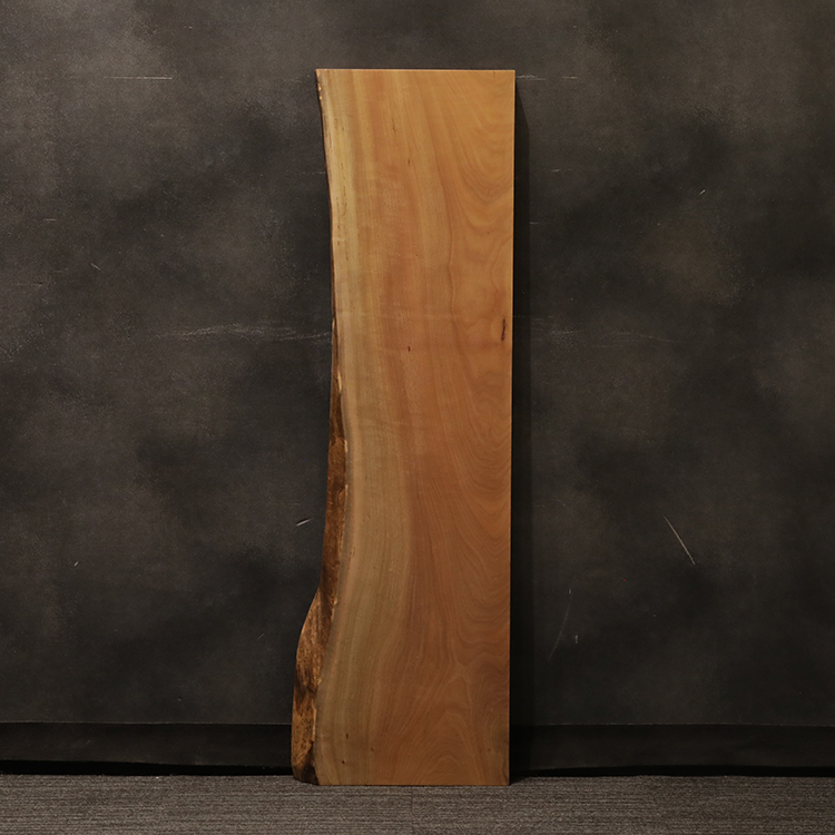 一枚板　タブ / 椨　5355-12　(W150cm)