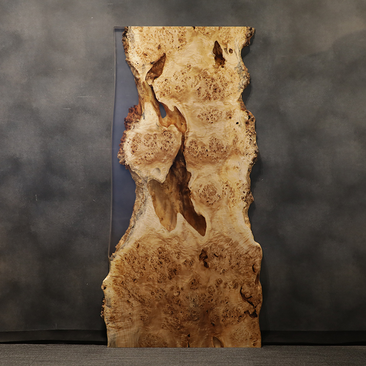 RESIN　ポプラ　447-19　(W240cm)