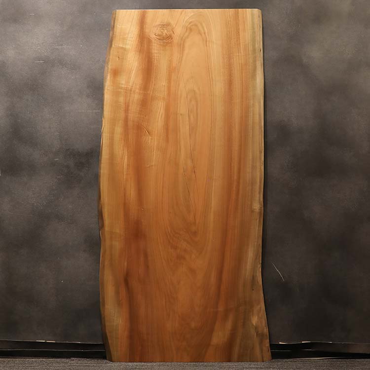 一枚板　タブ / 椨　46-14-1　(W210cm)