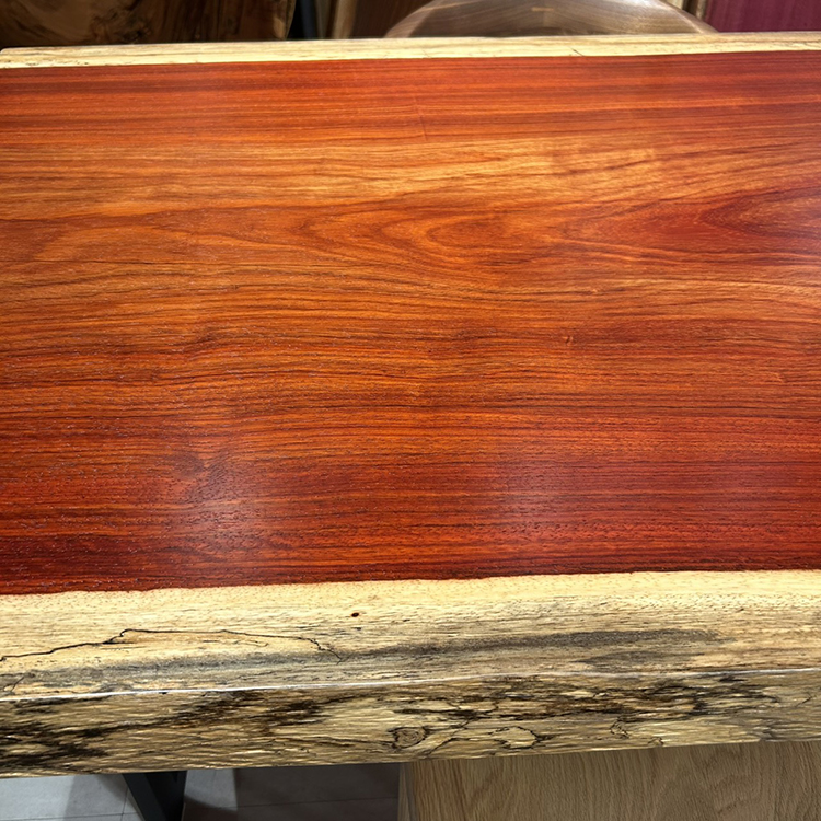 一枚板　パドック　305-1/2-5-1　(W220cm)