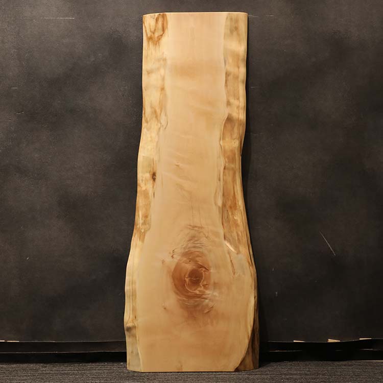 【SOLD OUT】一枚板　トチ / 栃　1032B-1　(W150cm)