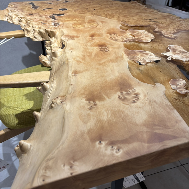 RESIN　イチョウ / 銀杏　CN-M6-2909-2　(W150cm)