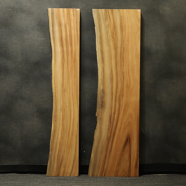 一枚板　クス / 楠　1779-3+7　(W180cm)