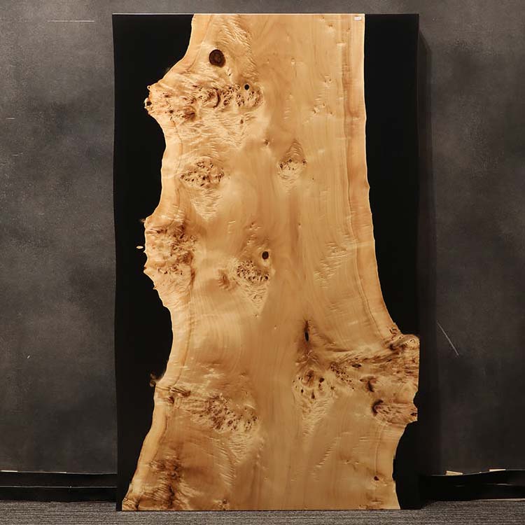 RESIN　ポプラ　503-9　(W150cm)