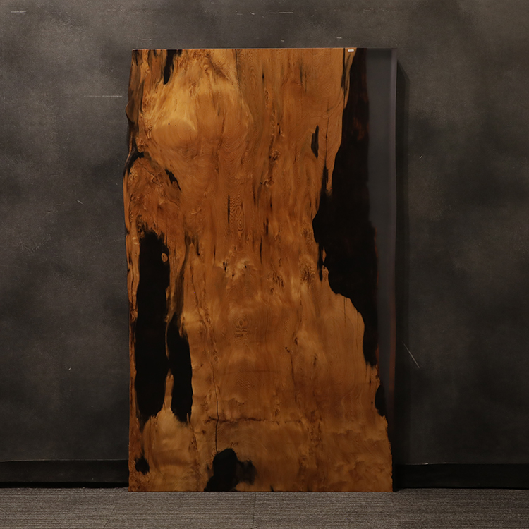 RESIN　ヤクスギ / 屋久杉　854-3　(W165cm)