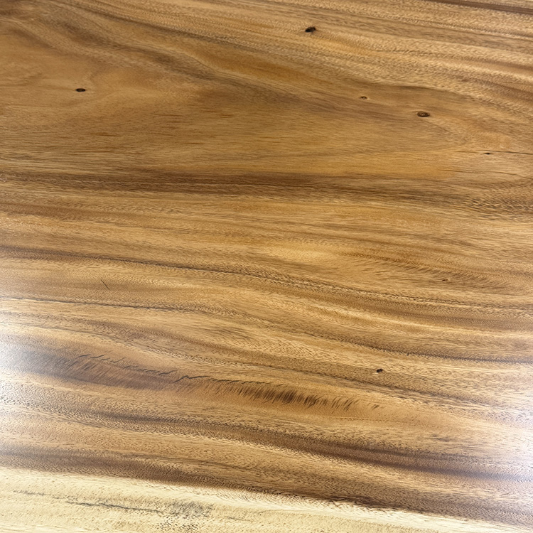 一枚板　モンキーポッド　277-10　(W230cm)