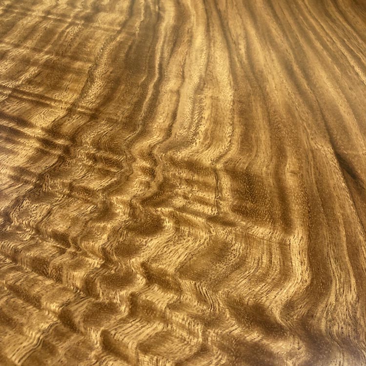 一枚板　モンキーポッド(杢)　299-7-3　(W220cm)