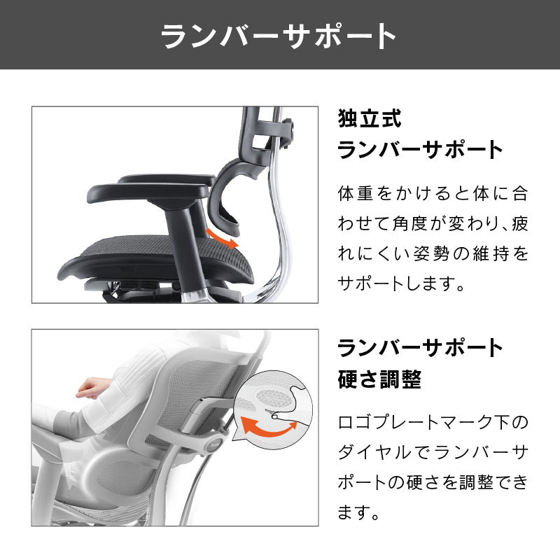 エルゴヒューマン プロⅡ ロータイプ 新基盤