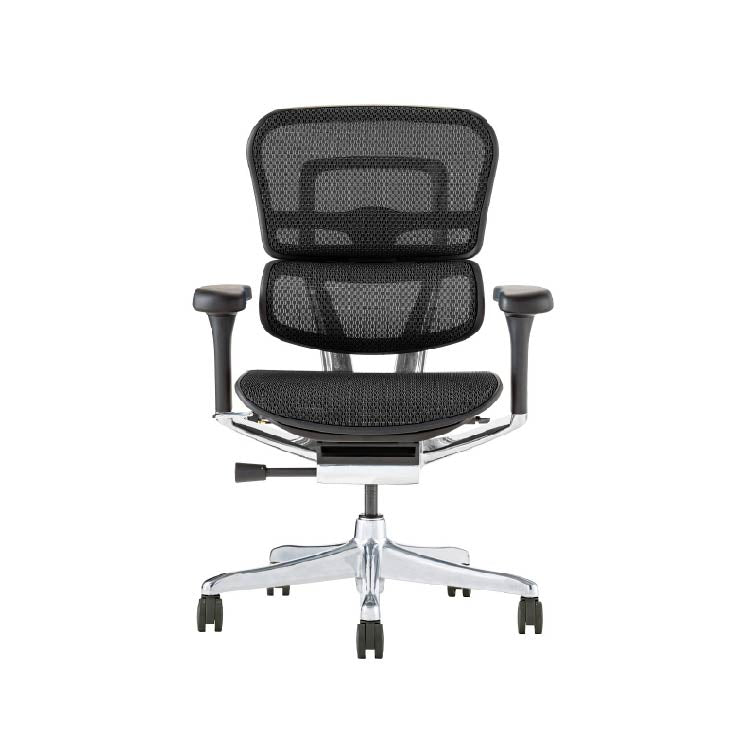 エルゴヒューマン プロⅡ ロータイプ 新基盤