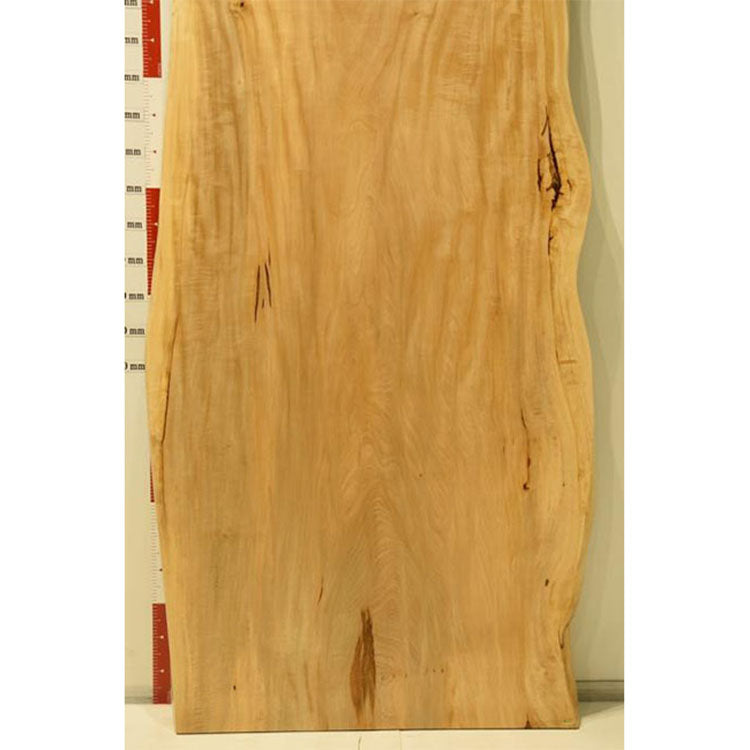 一枚板　トチ　RP-CN-1-2810　（W255cm）　ダイニングテーブル