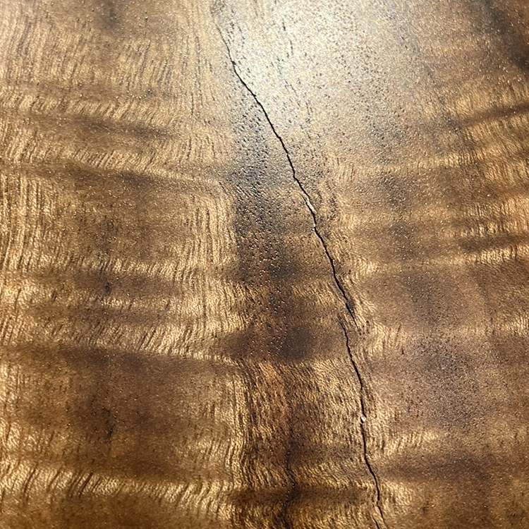 一枚板　クス / 楠(杢)　2120-10　(W160cm)