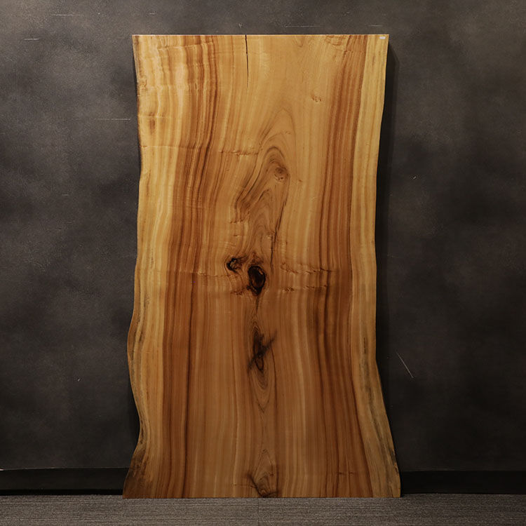 一枚板　クス / 楠　2255-9　(W180cm)