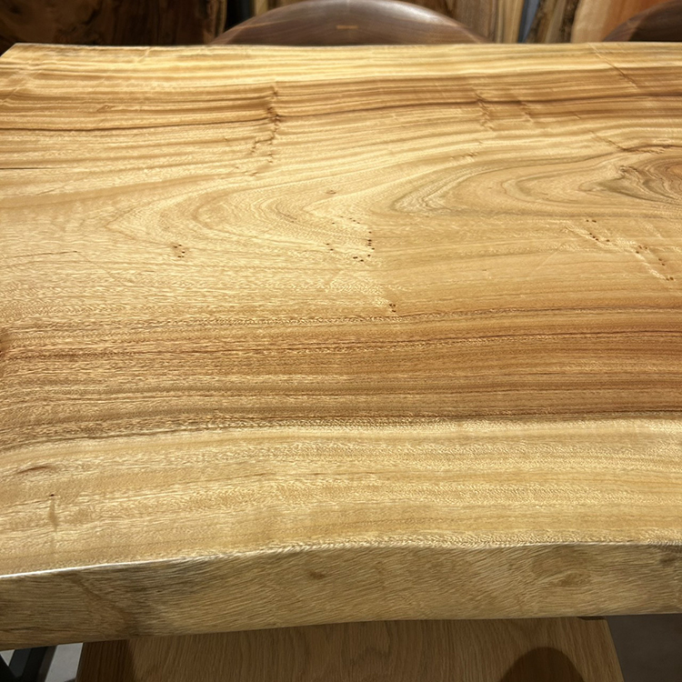 一枚板　クス / 楠　2255-9　(W180cm)