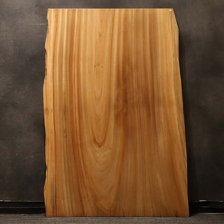 一枚板　クス / 楠　197-22　(W160cm)