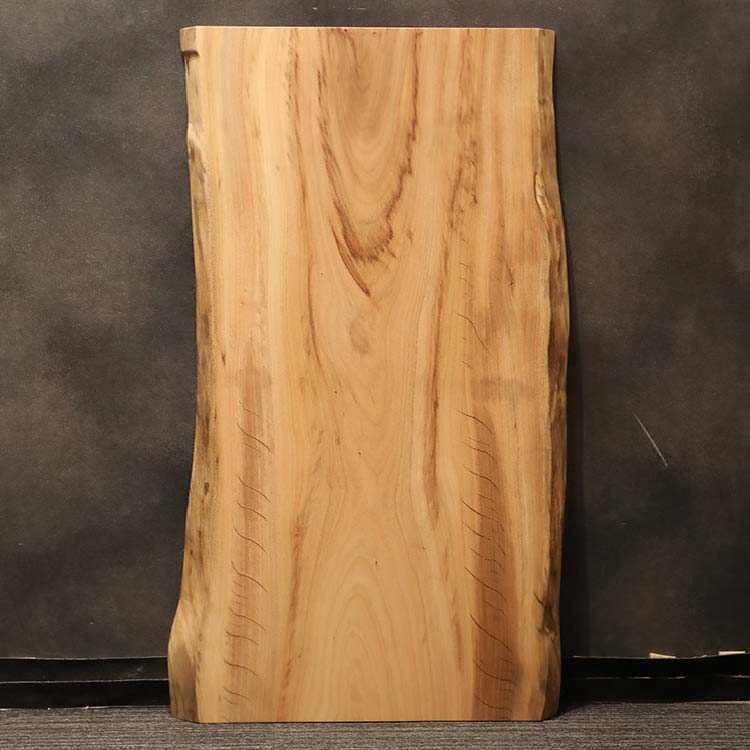 一枚板　クス / 楠　255-3　(W130cm)