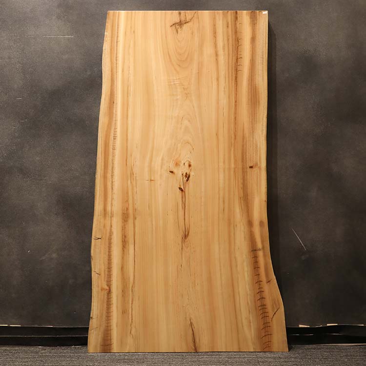 一枚板　クス / 楠　255-6　(W160cm)