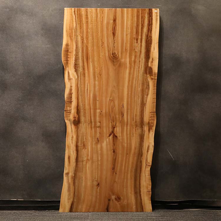 一枚板　クス / 楠(杢)　2594-5　(W180cm)