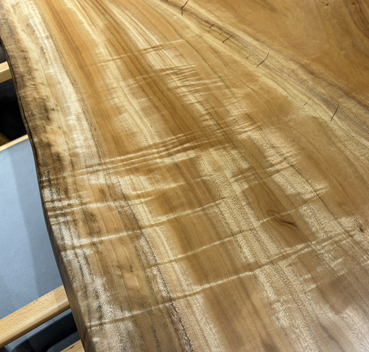 一枚板　クス / 楠(杢)　2604-8　(W180cm)