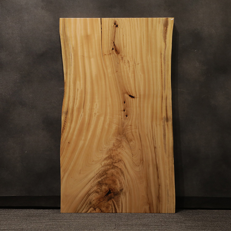 一枚板　クス / 楠　5441-25　(W150cm)