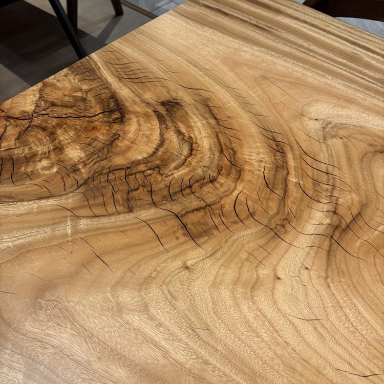一枚板　クス / 楠　5441-25　(W150cm)