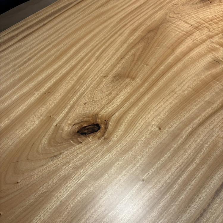 一枚板　クス / 楠　5441-26　(W150cm)