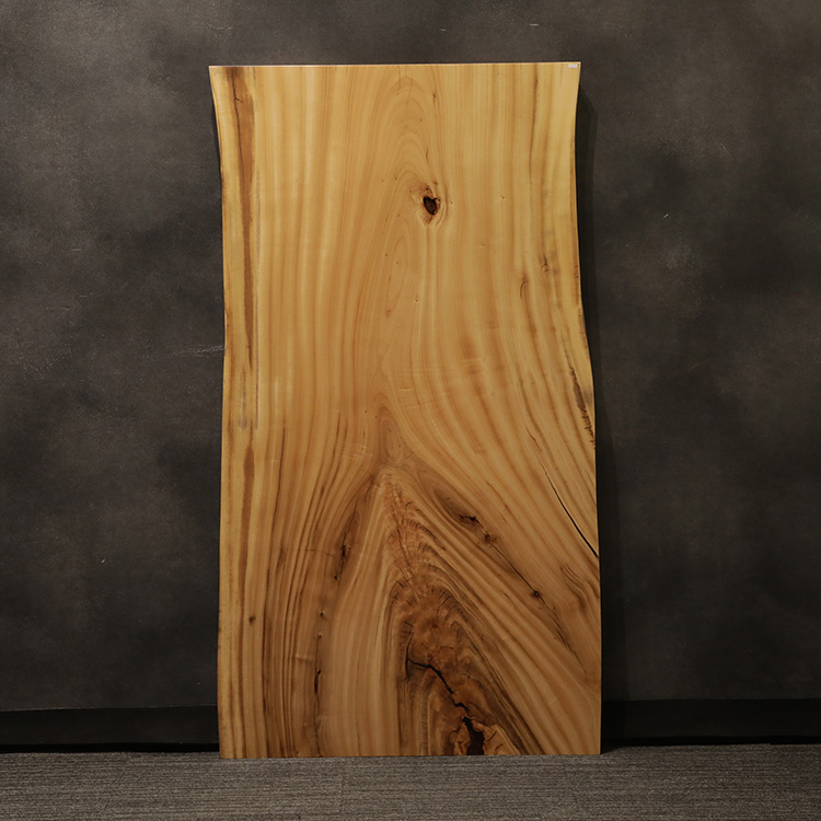 一枚板　クス / 楠　5441-27　(W160cm)