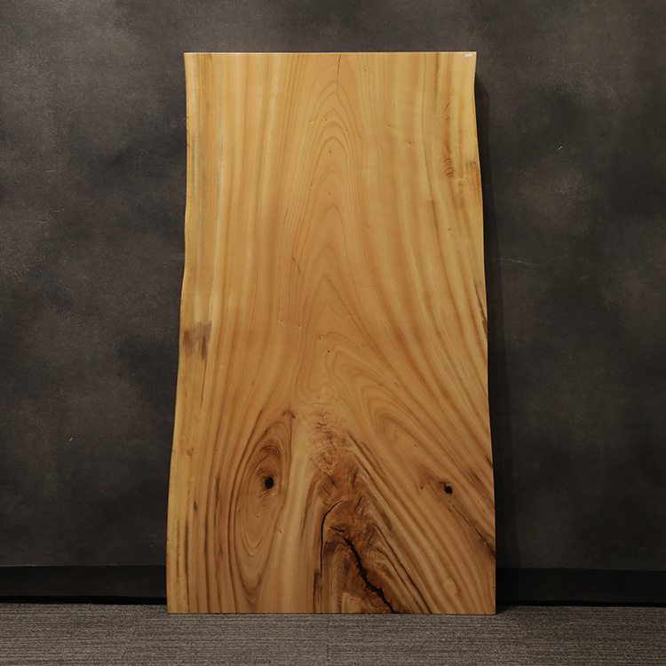 一枚板　クス / 楠　5441-28　(W150cm)