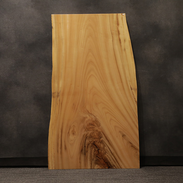 一枚板　クス / 楠　5441-29　(W150cm)